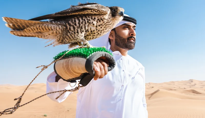 Falconer in the Saudi desert for a Saudi tourist eVisa and travel guide