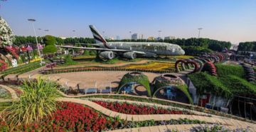 A Day at Miracle Garden