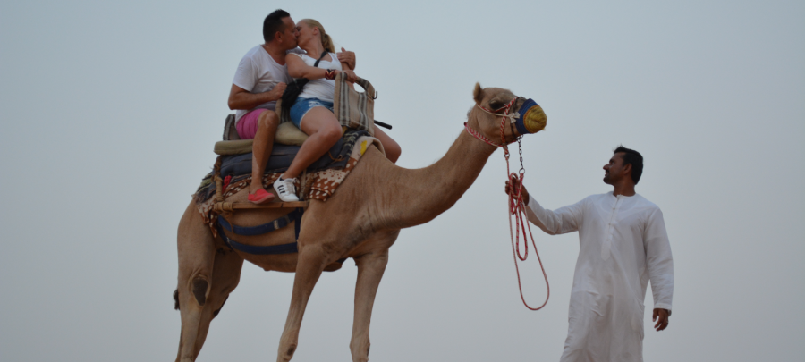 Abu Dhabi Overnight Safari
