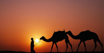 Camel Rides in Ras Al Khaimah: A Unique Desert Adventure