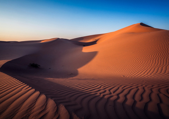 Abu dhabi Desert dunes