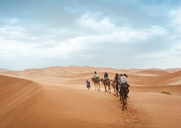 Abu dhabi Desert Camel trekking