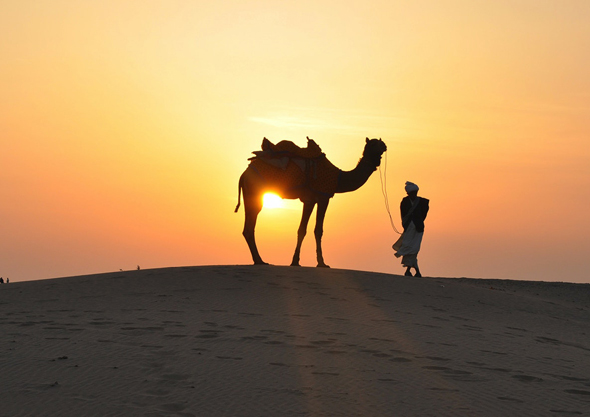 Dubai Desert Safari Evening