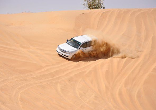 qatar Desert Safari