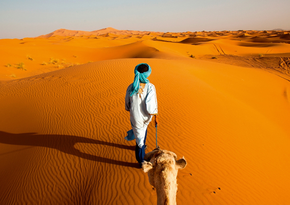 Man pulls camel sahara Desert
