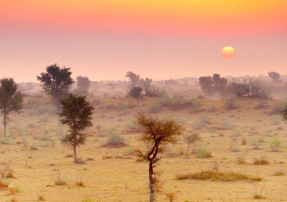 thar Desert