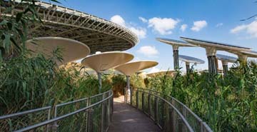 Plan Your First Dubai Vacation – Ultimate Guide