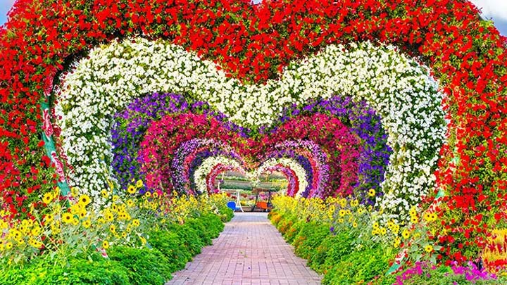Top Romantic Activities to do in Dubai