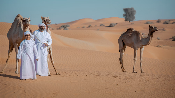 Liwa tallest dunes