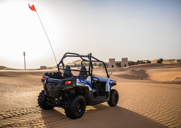 Morning or Evening Buggy Ride