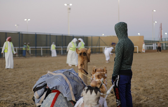 Al Wathba camel race insider guide