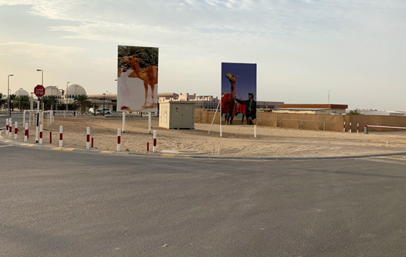 Camel Racing Federation at Al Wathba