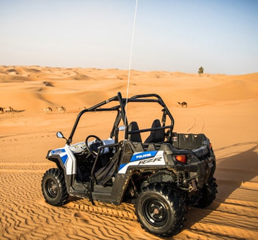 Dune Buggy Abu Dhabi