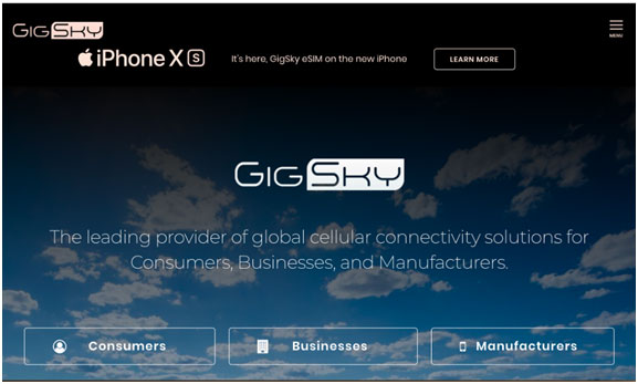 Gigsky