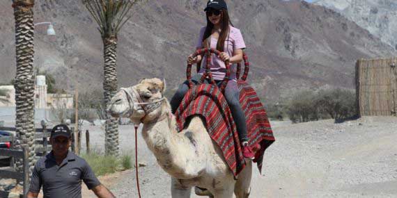 Camel Ride