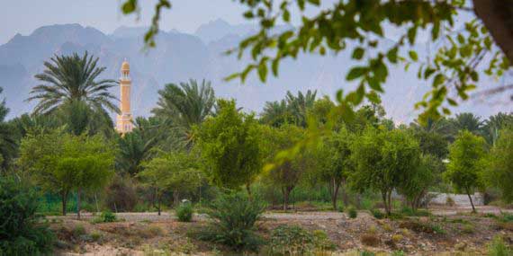 Picnic-Things to Do with Kids in Hatta 