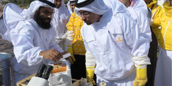 Hatta Honey Festival