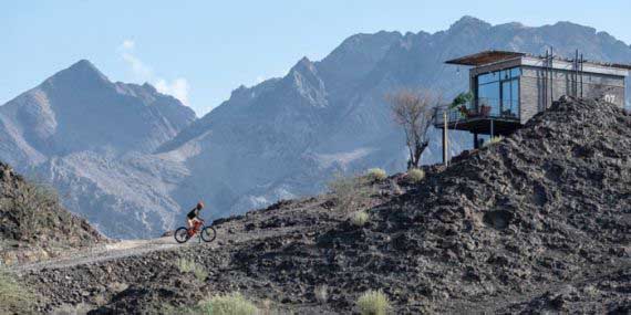 Mountain Biking