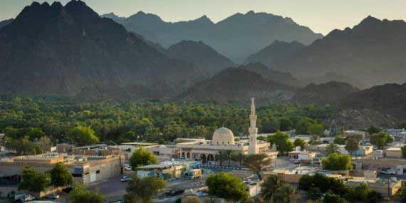 Visit Hatta Date Farms