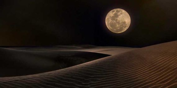 Desert Moonlit exploration 