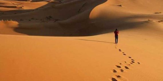 Desert Walk