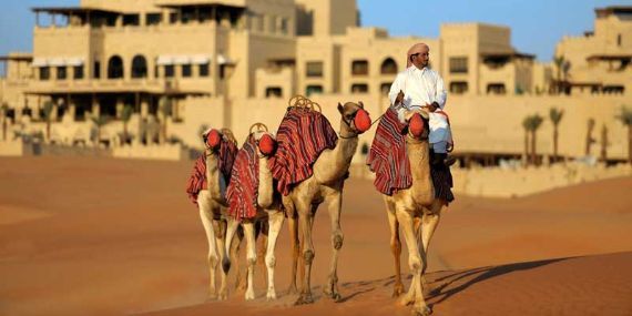 Liwa Camel Trekking