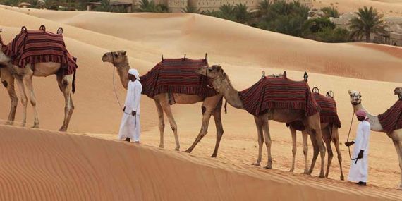 Liwa Camel Trekking