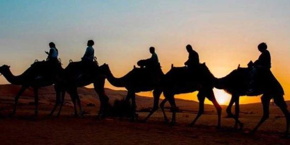 Liwa Camel Trekking
