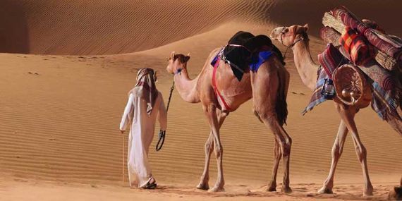 Liwa Camel Trekking