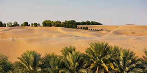 Liwa Oasis Source - Abu Dhabi Culture