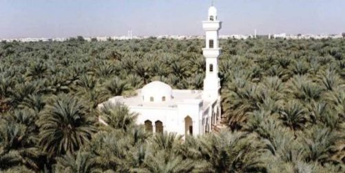 Liwa Oasis Source - Abu Dhabi Culture