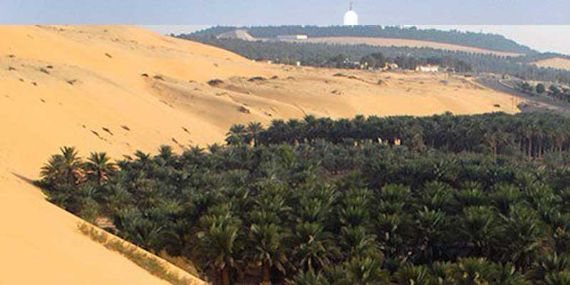 Liwa Oasis