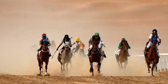 Liwa Sports Festival