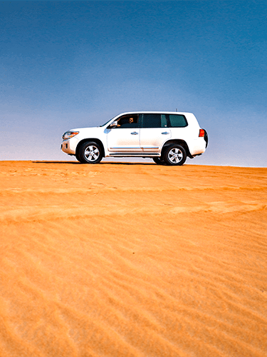 Mega Dunes in Liwa