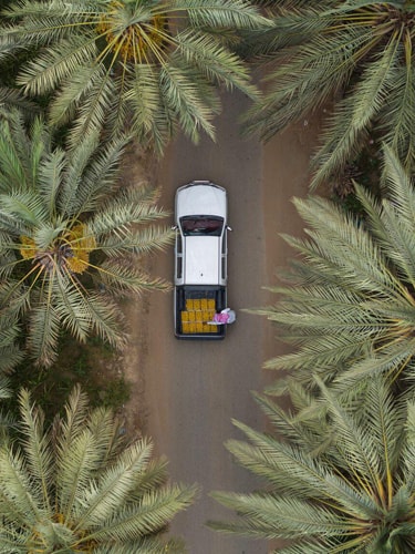 Liwa Oasis
