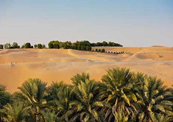 Romantic Rub Al Khali (Empty Quarter) Highest Dune Sunset Champagne