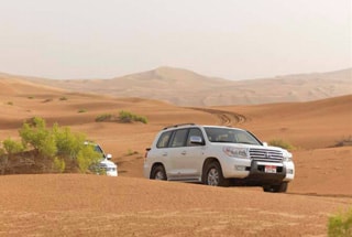 Evening Desert Safari