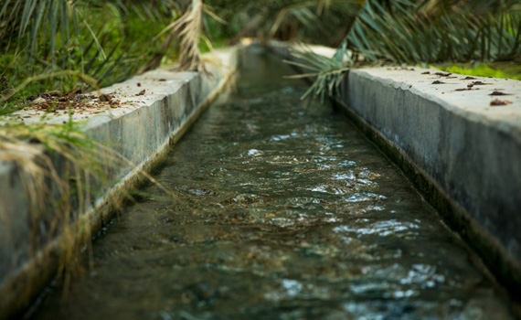  Al Shari'a - Open Cistern