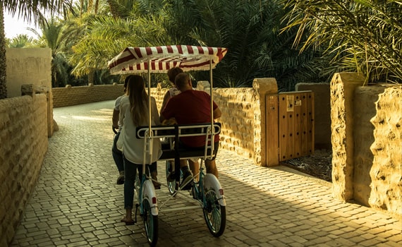 Visit Al Ain Oasis