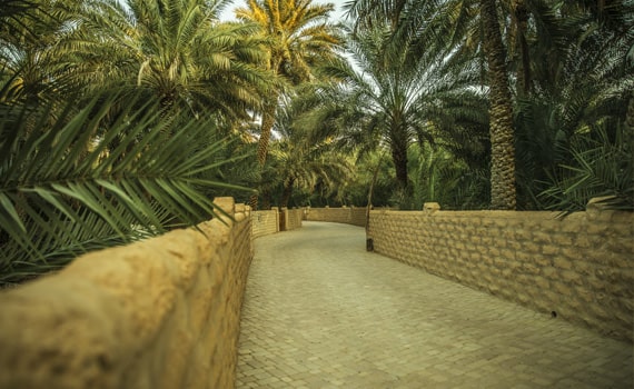 Visit Al Ain Oasis