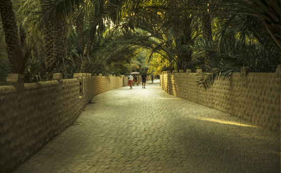 Visit Al Ain Oasis