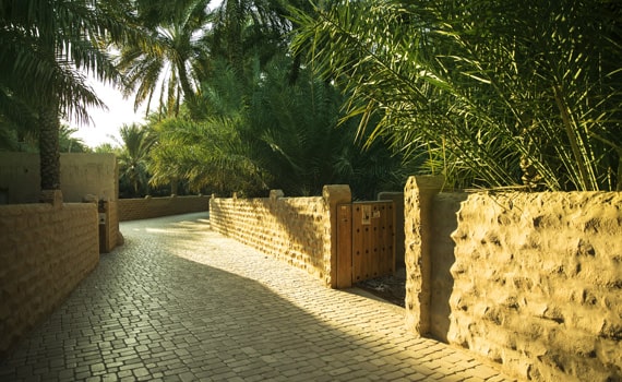 Visit Al Ain Oasis