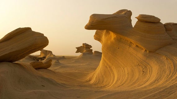 Al Wathba Fossil Dunes & Morning Abu Dhabi Desert Safari