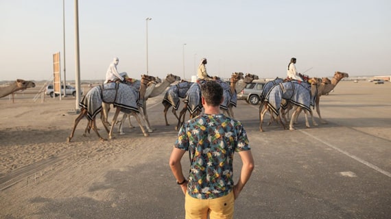 Al Wathba Fossil Dunes & Morning Abu Dhabi Desert Safari