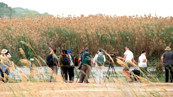 Al Wathba Wetland Reserve