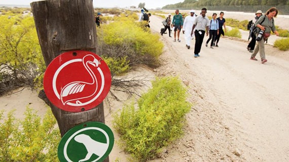 Al Wathba Wetland Reserve