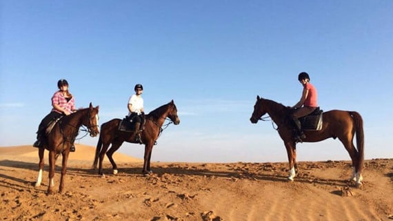 Explore the desert on horseback