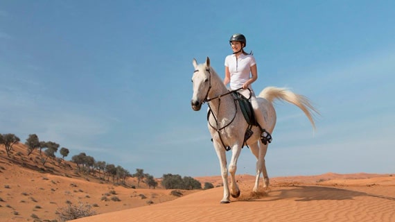 Explore the desert on horseback
