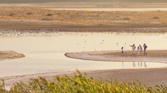 Fossil dunes and flamingos By Emirati Guide Afnan Albreiki