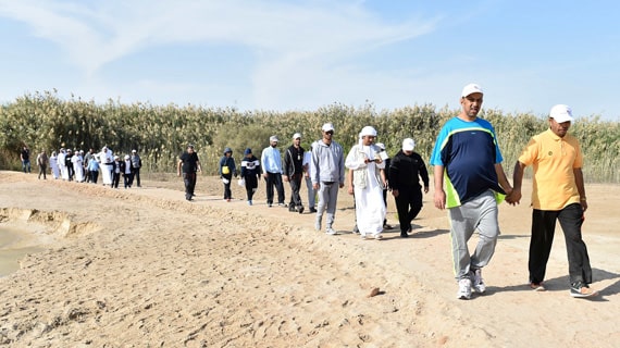 Wildlife of al Wathba wetland reserve by By Emirati Guide Sultan Karrani